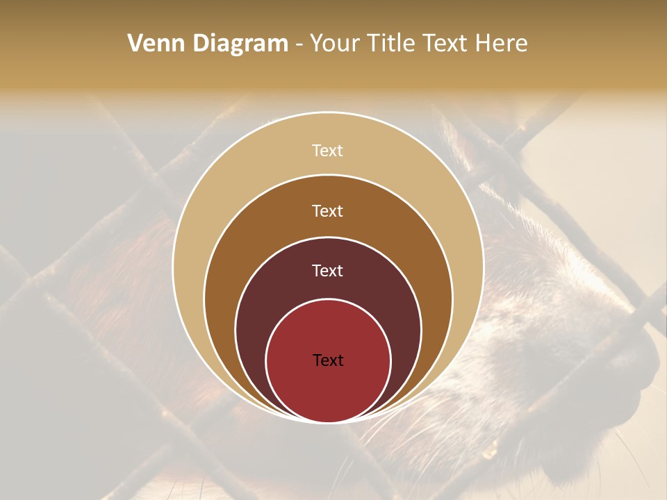 Fence Outdoor Canine PowerPoint Template