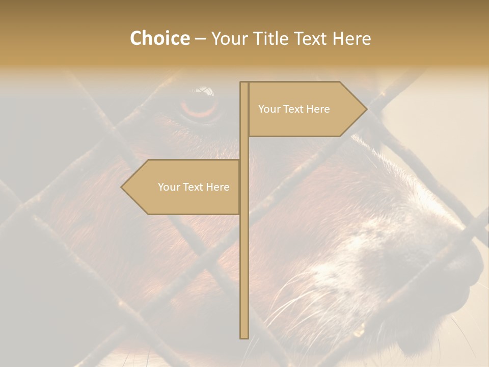 Fence Outdoor Canine PowerPoint Template