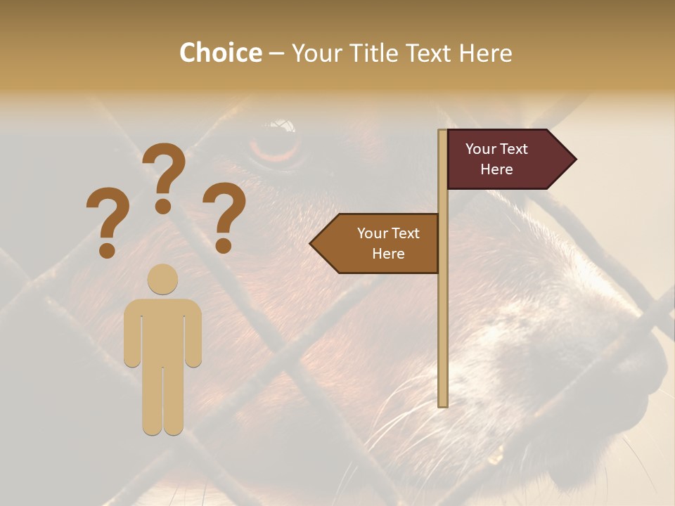 Fence Outdoor Canine PowerPoint Template