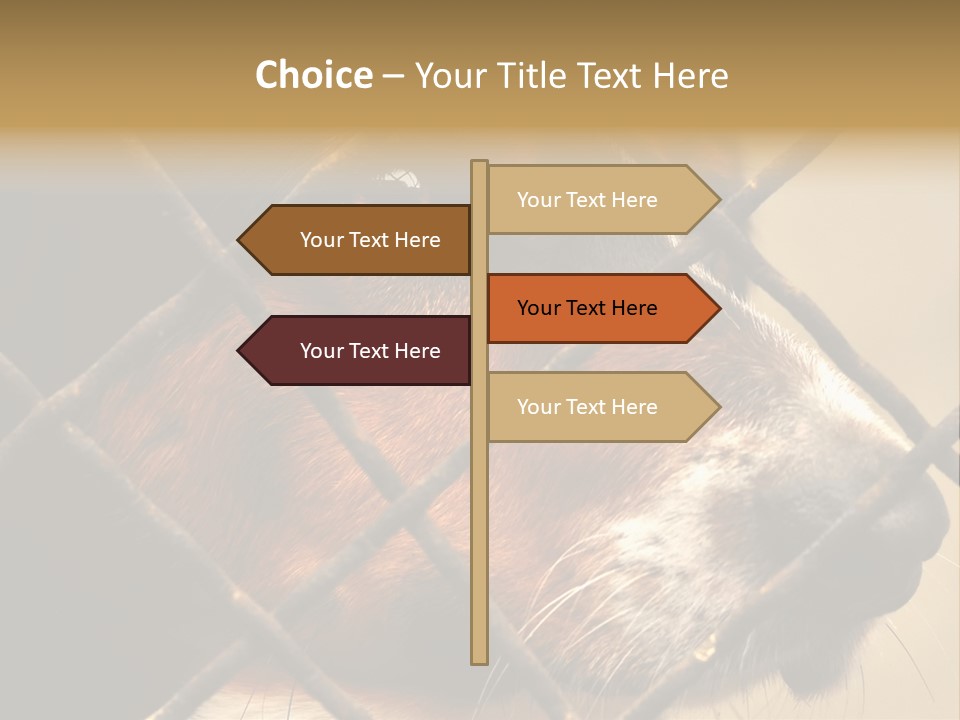 Fence Outdoor Canine PowerPoint Template