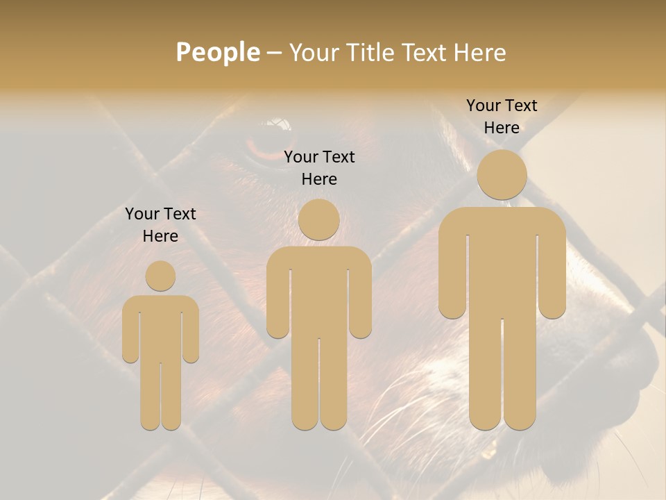 Fence Outdoor Canine PowerPoint Template