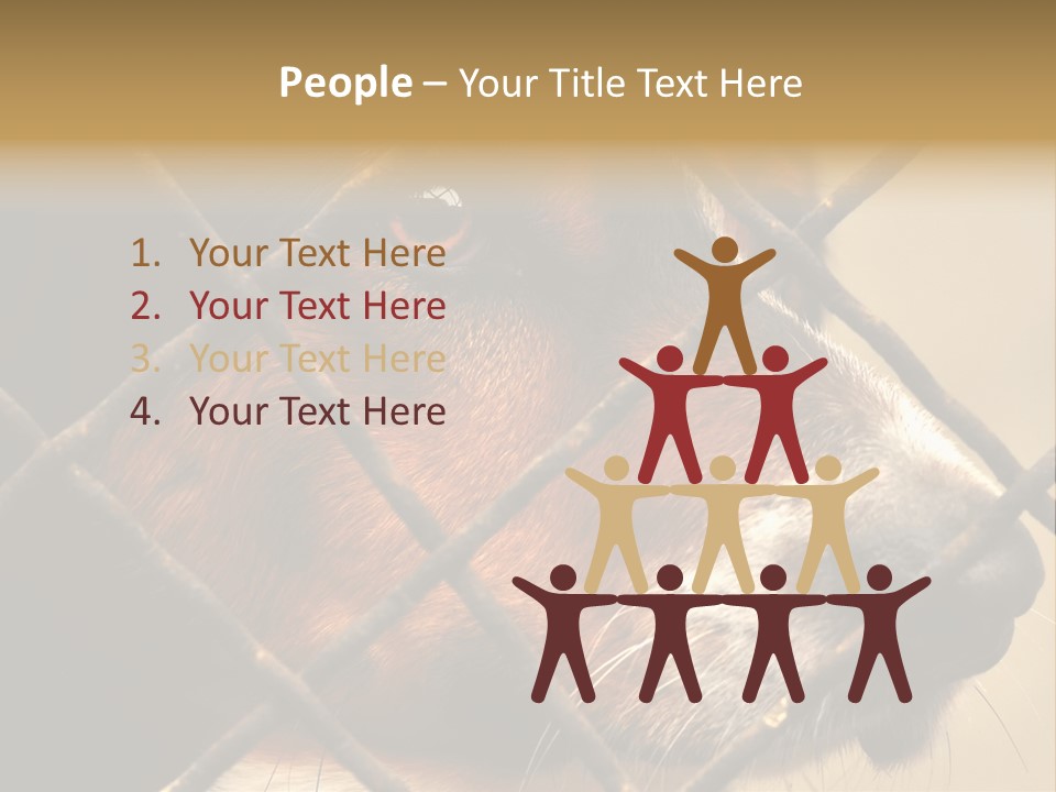 Fence Outdoor Canine PowerPoint Template