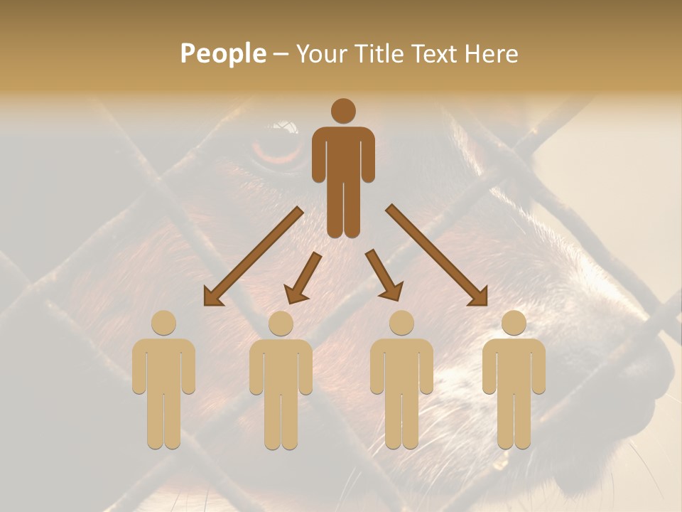 Fence Outdoor Canine PowerPoint Template