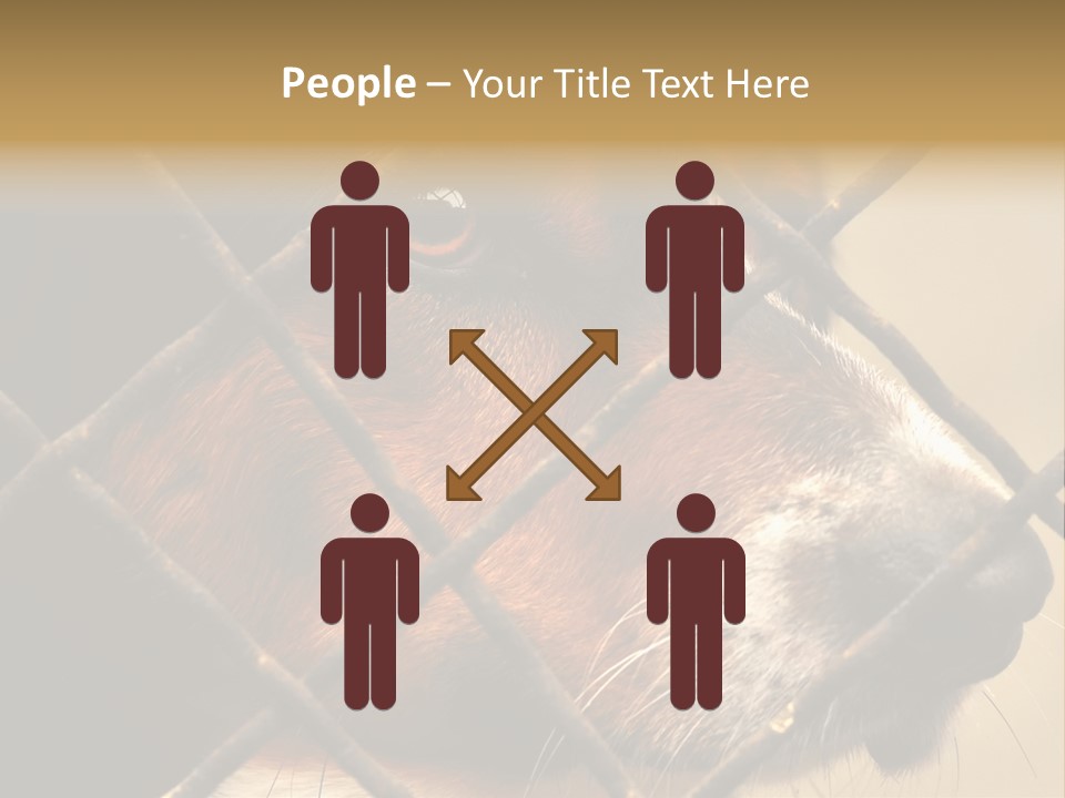 Fence Outdoor Canine PowerPoint Template