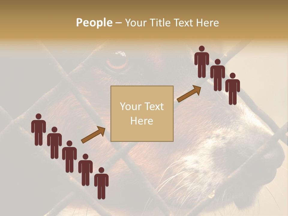 Fence Outdoor Canine PowerPoint Template