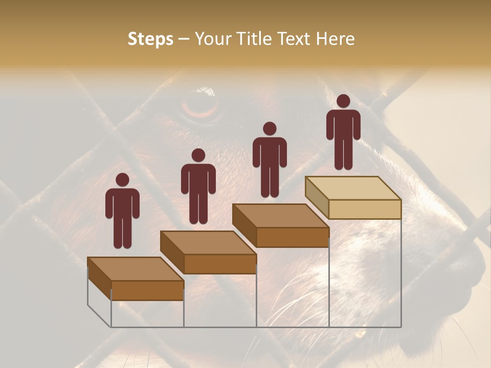 Fence Outdoor Canine PowerPoint Template