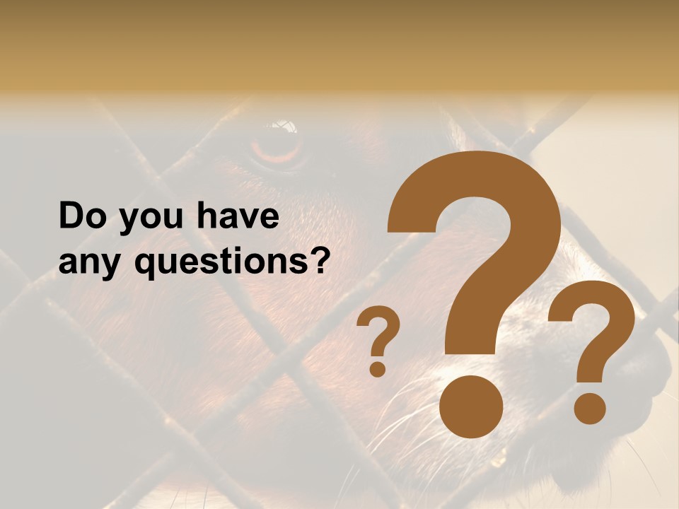 Fence Outdoor Canine PowerPoint Template