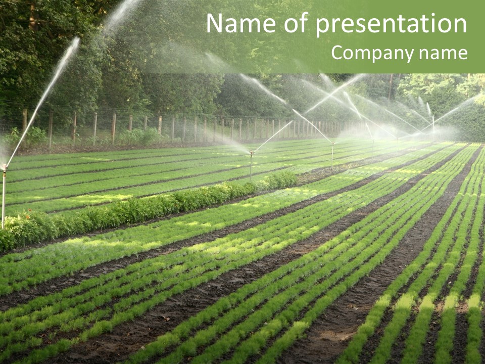 Plant Land Tree PowerPoint Template