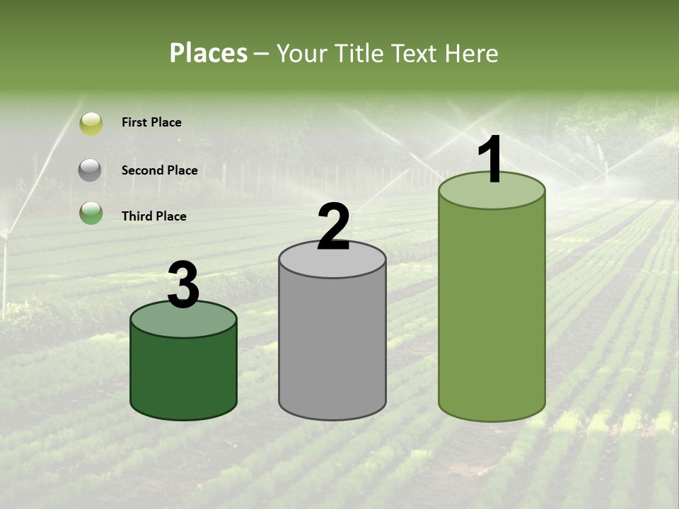 Plant Land Tree PowerPoint Template