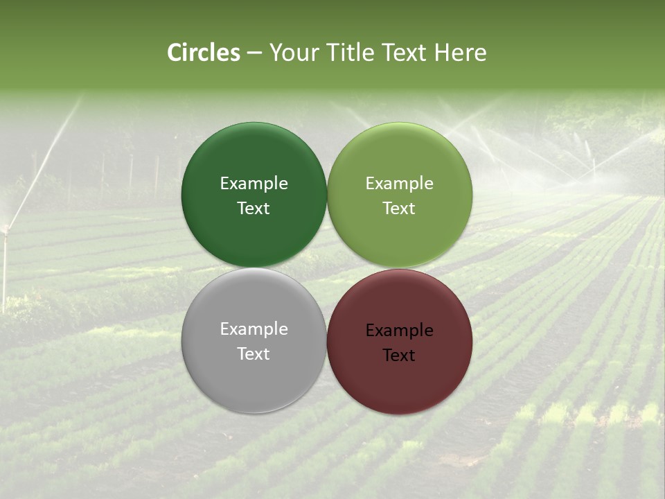 Plant Land Tree PowerPoint Template