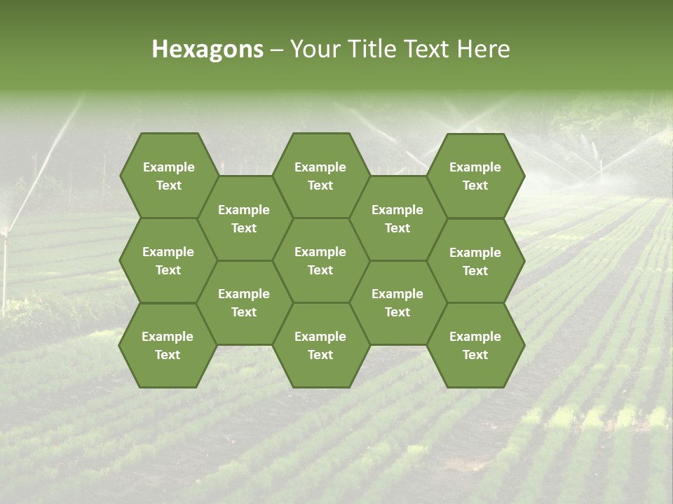 Plant Land Tree PowerPoint Template