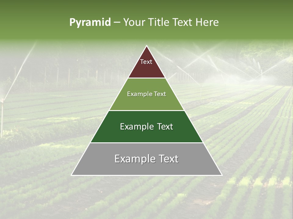 Plant Land Tree PowerPoint Template