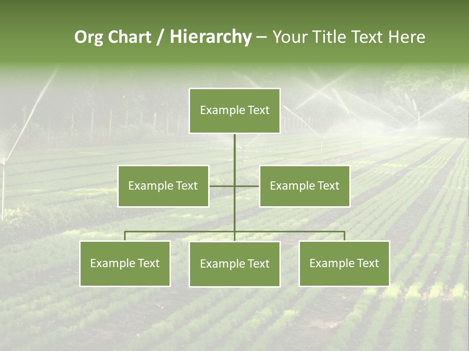 Plant Land Tree PowerPoint Template