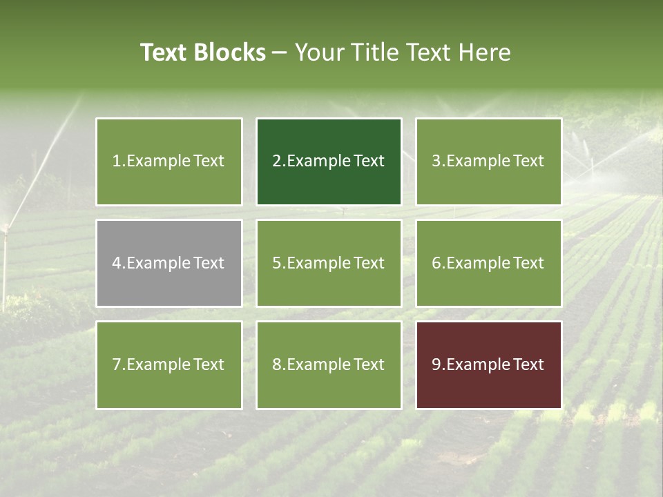 Plant Land Tree PowerPoint Template