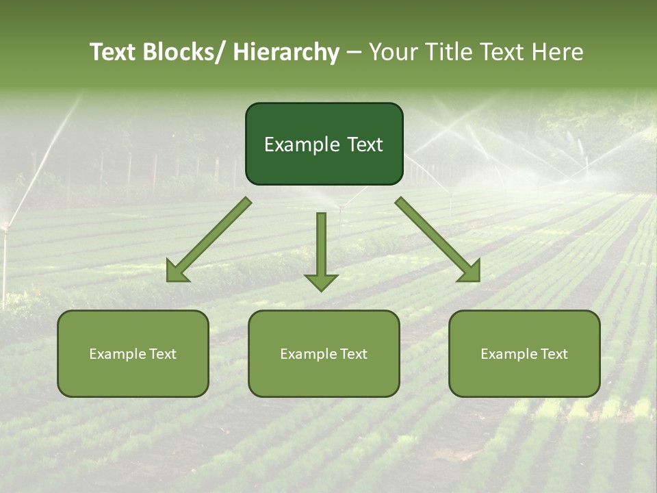 Plant Land Tree PowerPoint Template