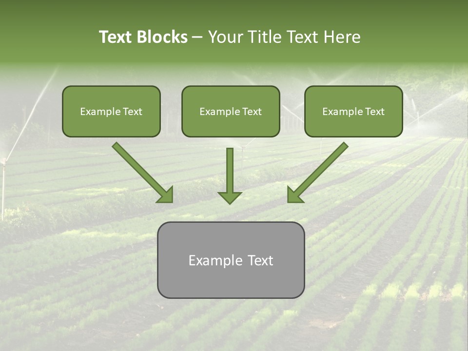 Plant Land Tree PowerPoint Template