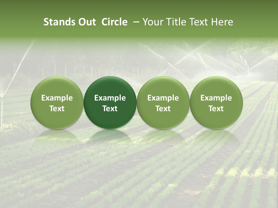 Plant Land Tree PowerPoint Template