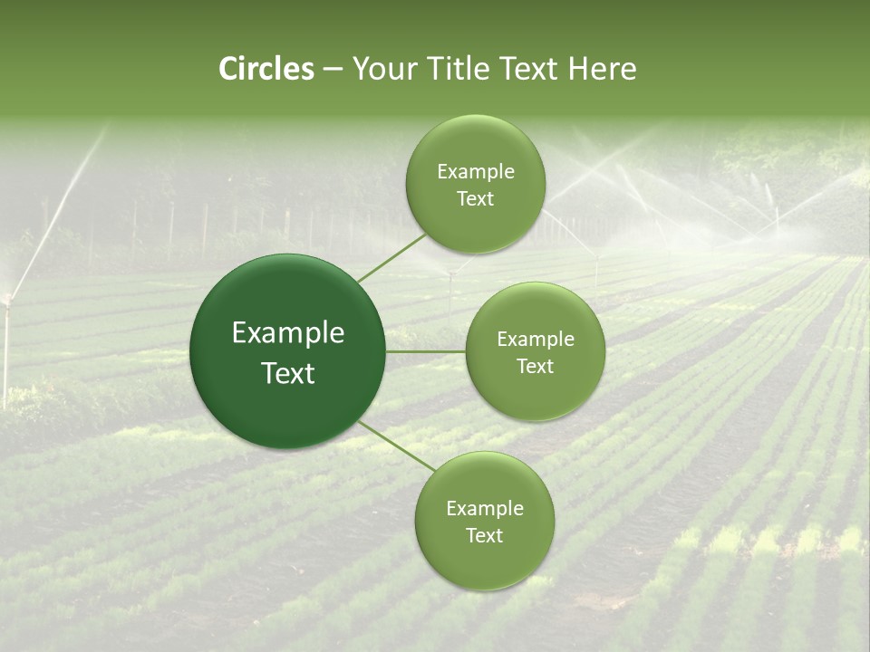 Plant Land Tree PowerPoint Template