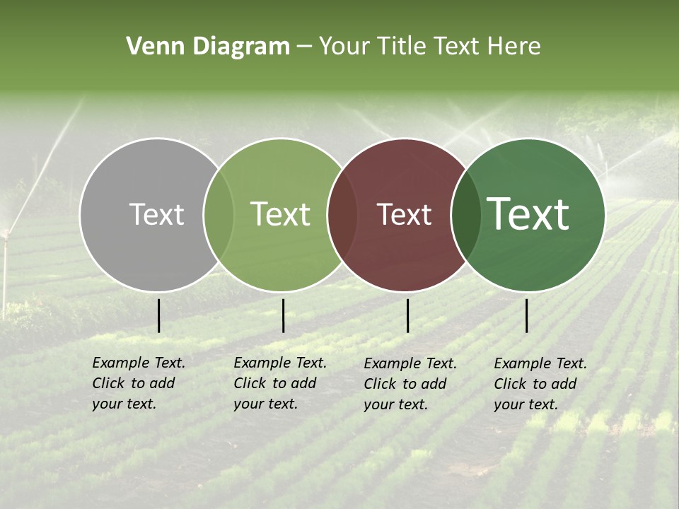 Plant Land Tree PowerPoint Template