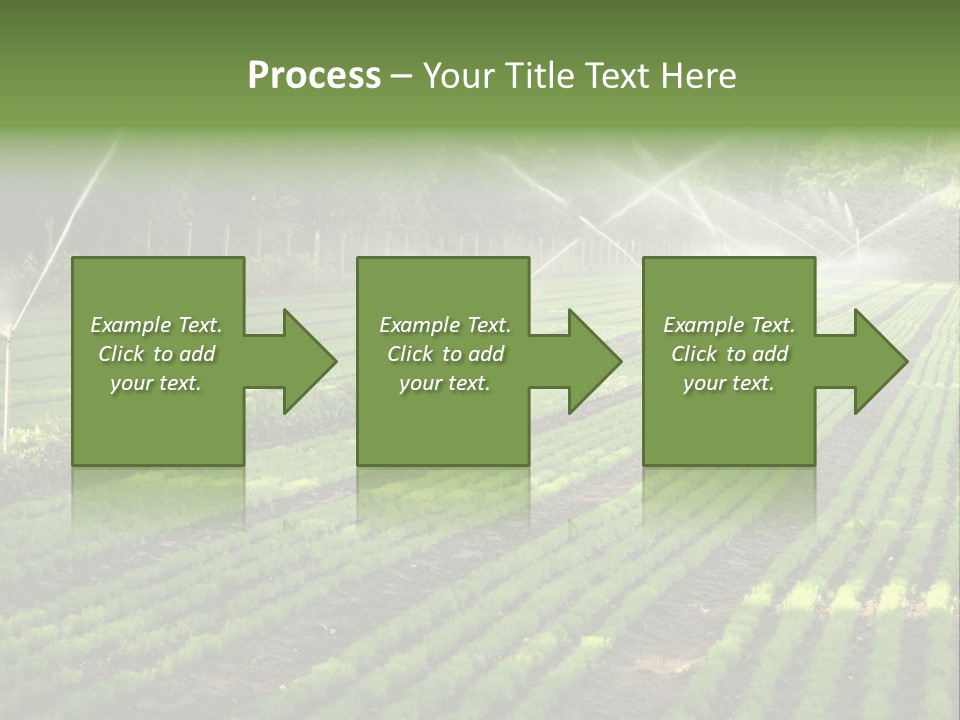 Plant Land Tree PowerPoint Template