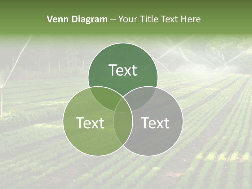 Plant Land Tree PowerPoint Template