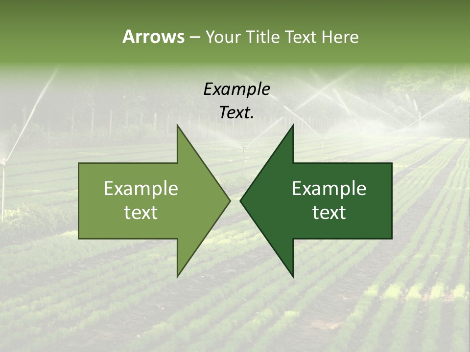 Plant Land Tree PowerPoint Template