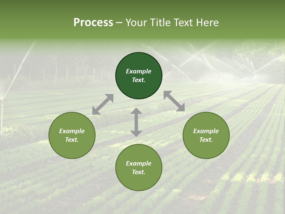 Plant Land Tree PowerPoint Template