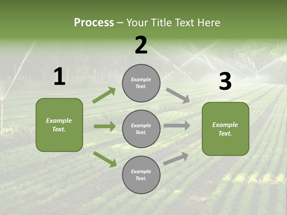 Plant Land Tree PowerPoint Template