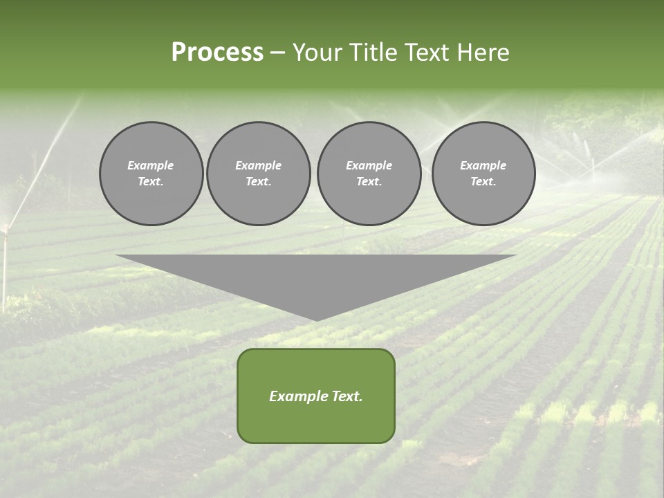 Plant Land Tree PowerPoint Template