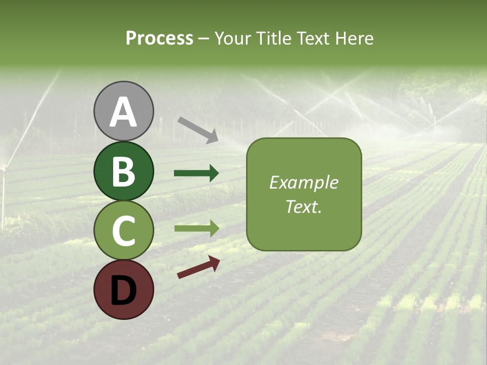 Plant Land Tree PowerPoint Template