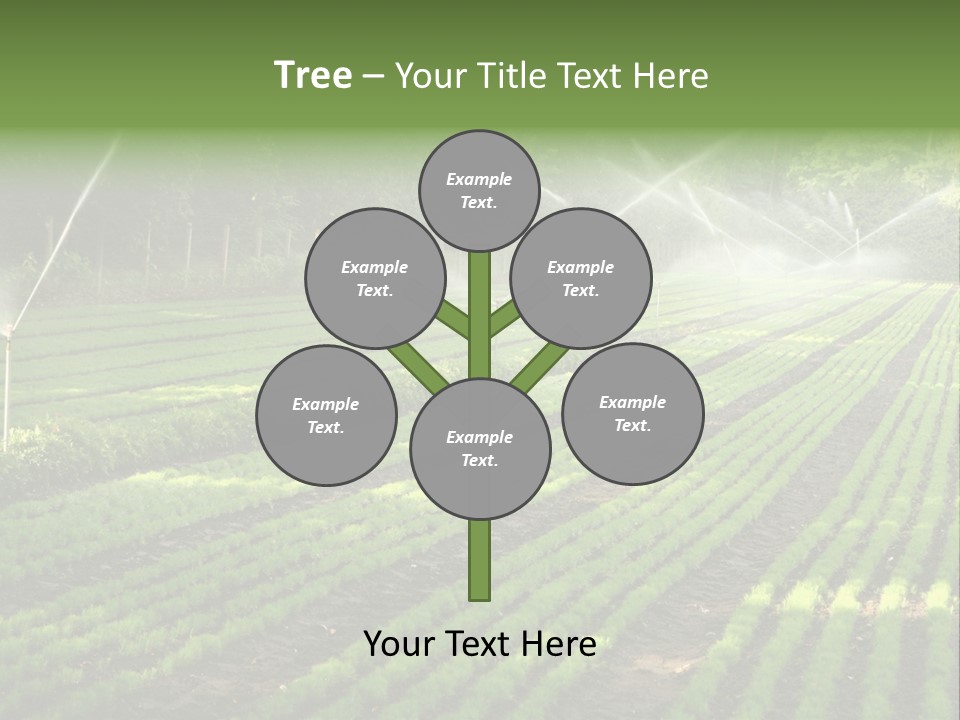 Plant Land Tree PowerPoint Template
