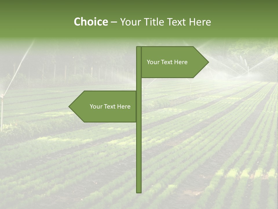 Plant Land Tree PowerPoint Template