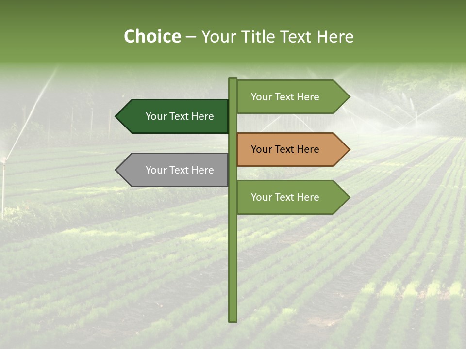 Plant Land Tree PowerPoint Template