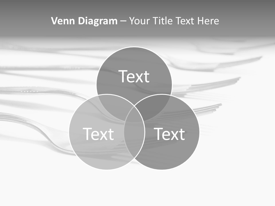 Silver Shine Expensive PowerPoint Template