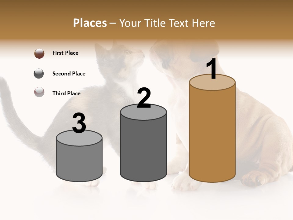 Friends Cat Emotions PowerPoint Template