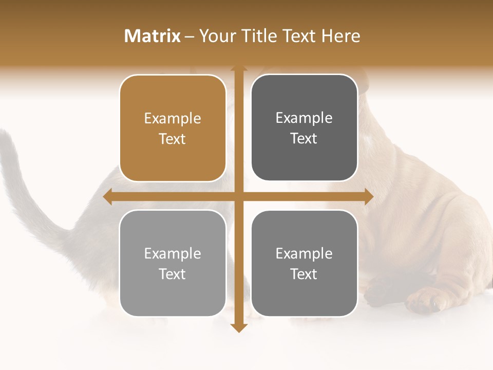 Friends Cat Emotions PowerPoint Template