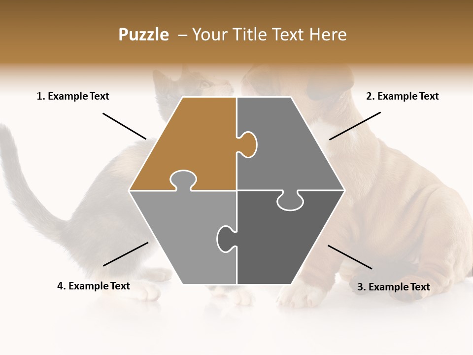 Friends Cat Emotions PowerPoint Template