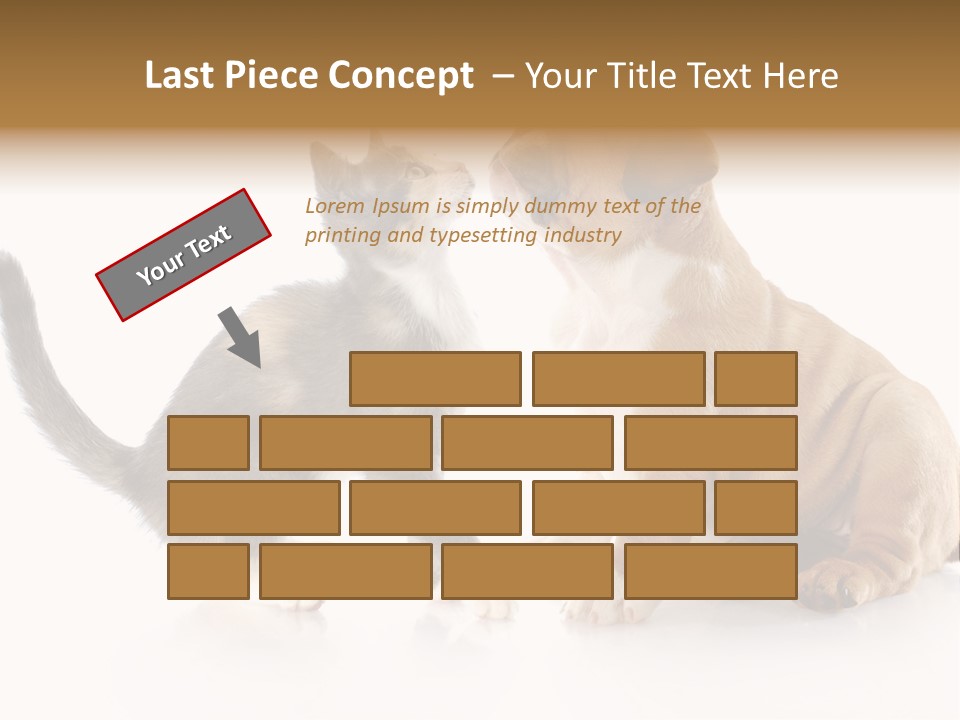 Friends Cat Emotions PowerPoint Template