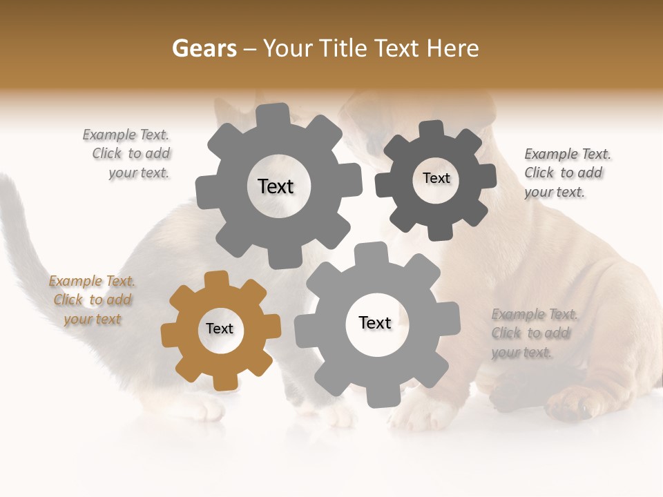 Friends Cat Emotions PowerPoint Template