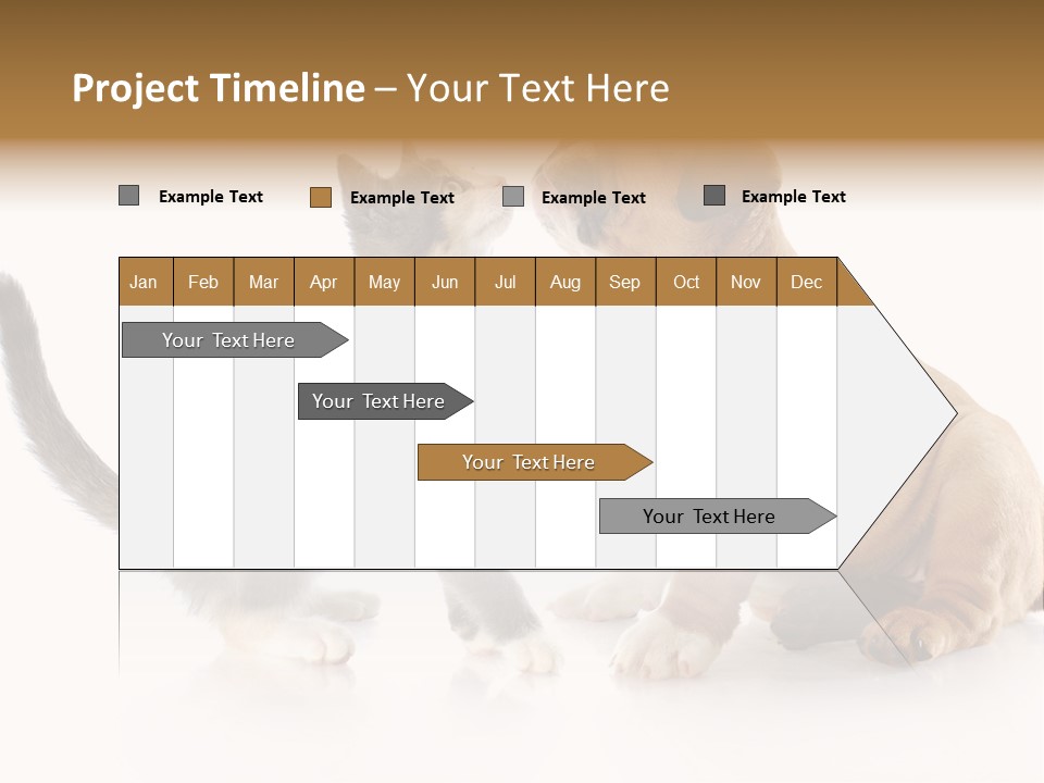 Friends Cat Emotions PowerPoint Template
