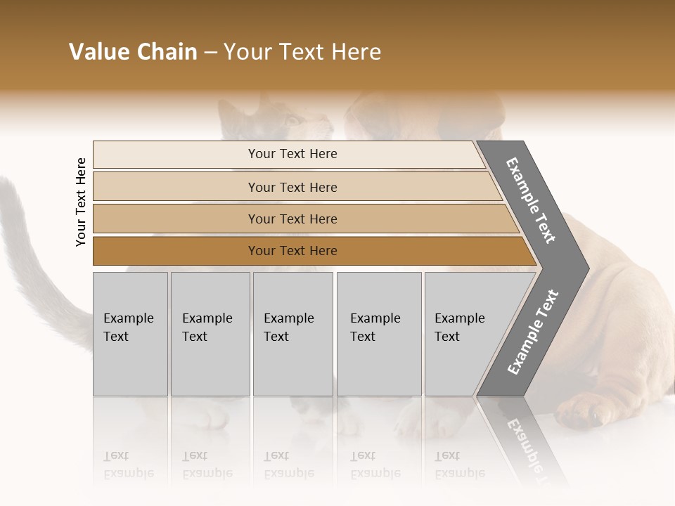 Friends Cat Emotions PowerPoint Template