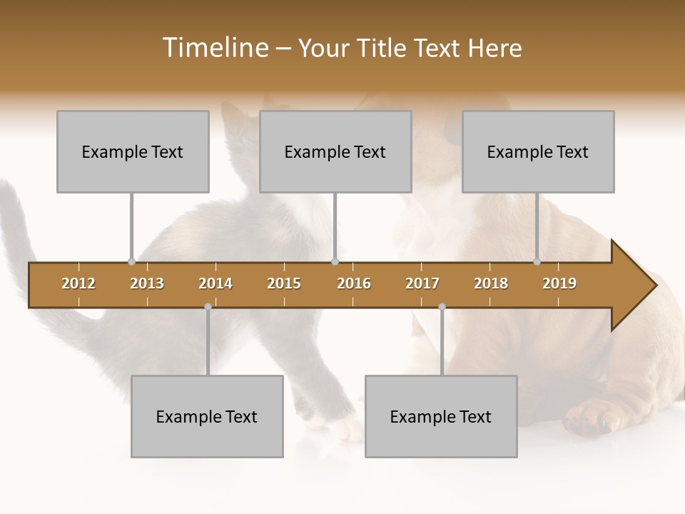 Friends Cat Emotions PowerPoint Template
