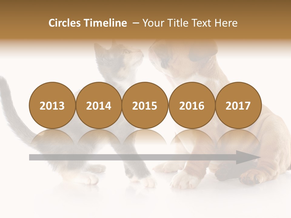 Friends Cat Emotions PowerPoint Template