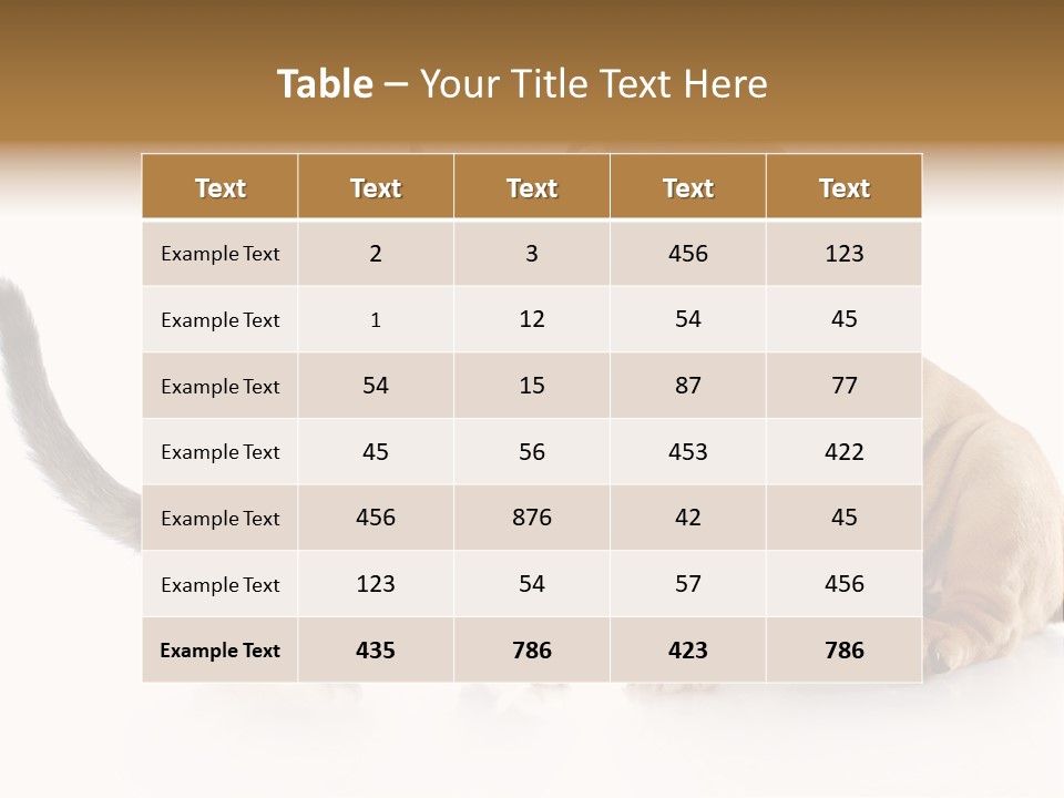 Friends Cat Emotions PowerPoint Template