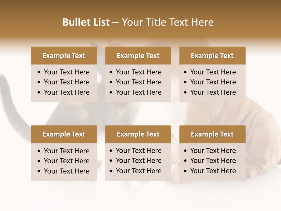 Friends Cat Emotions PowerPoint Template