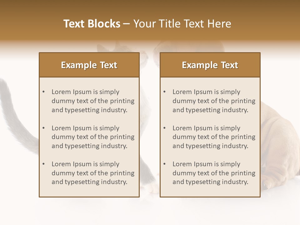 Friends Cat Emotions PowerPoint Template