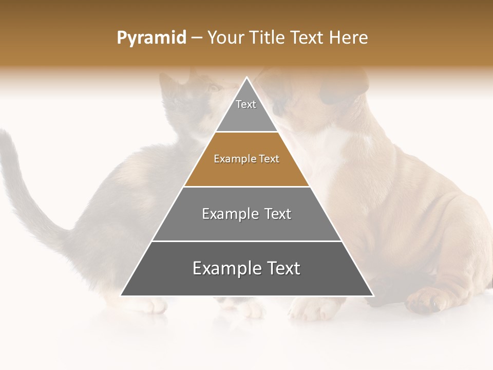 Friends Cat Emotions PowerPoint Template
