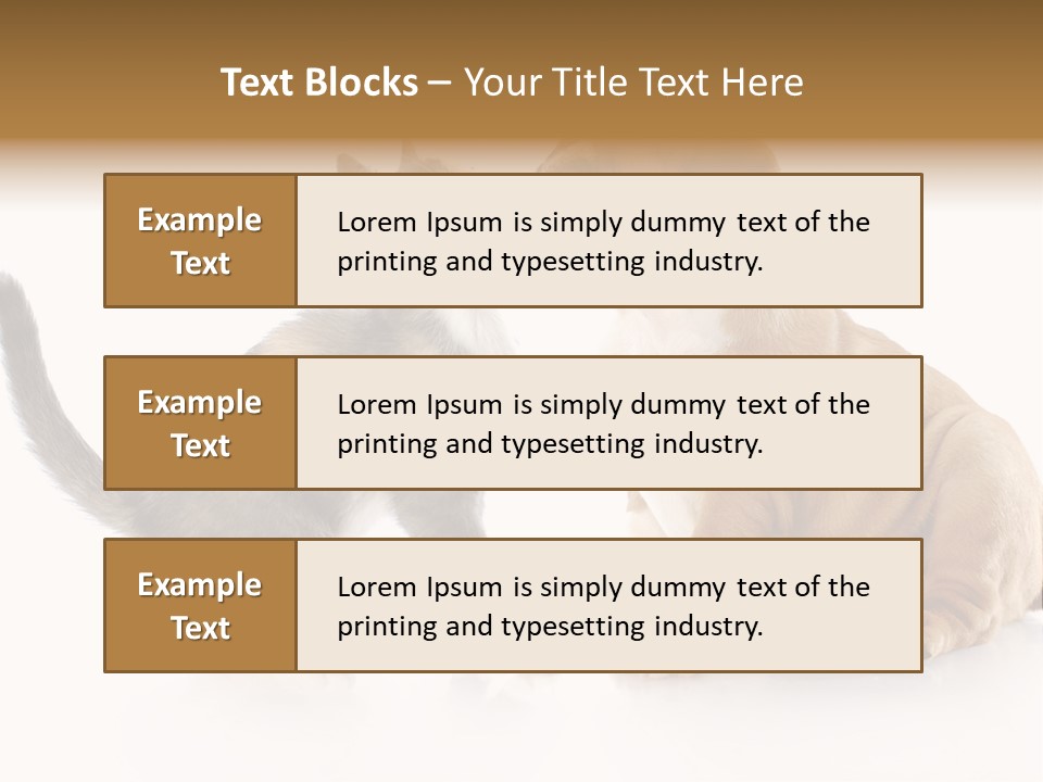 Friends Cat Emotions PowerPoint Template