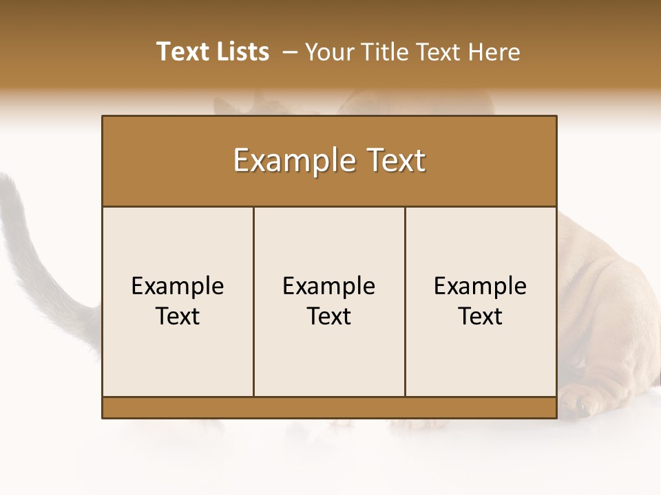 Friends Cat Emotions PowerPoint Template