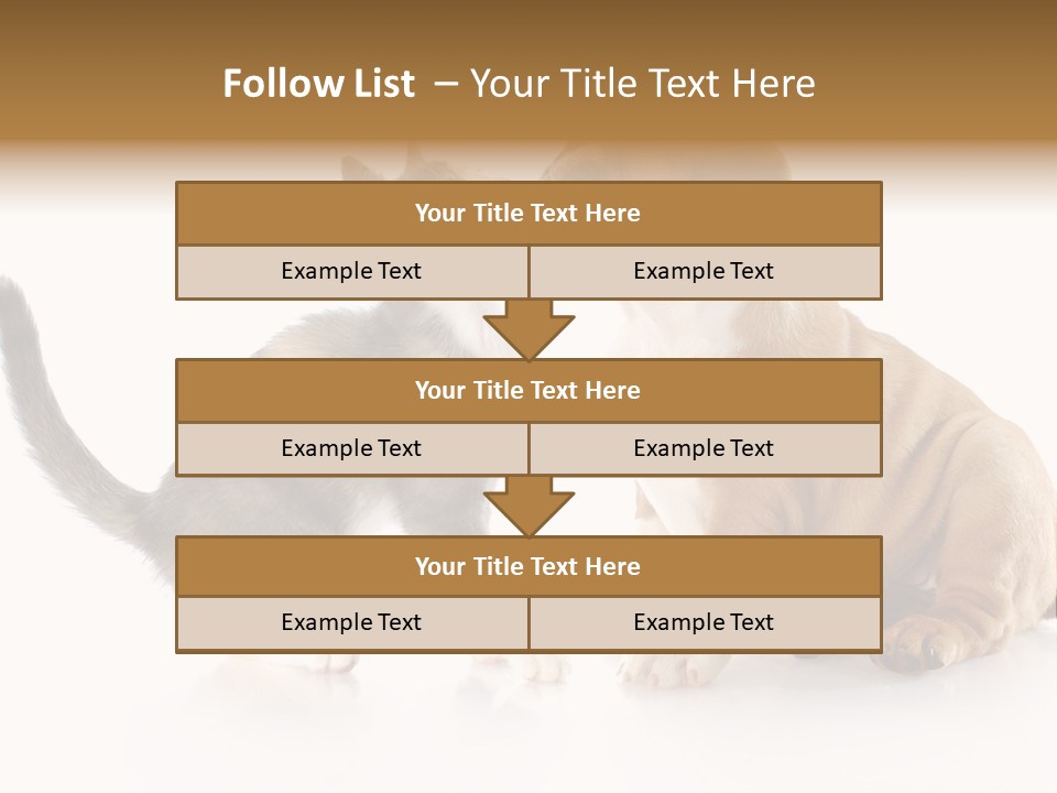Friends Cat Emotions PowerPoint Template